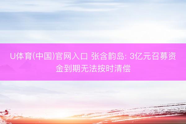 U体育(中国)官网入口 张含韵岛: 3亿元召募资金到期无法按时清偿