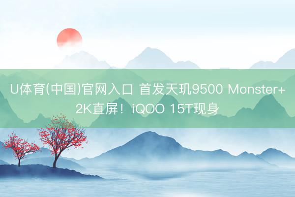 U体育(中国)官网入口 首发天玑9500 Monster+2K直屏！iQOO 15T现身