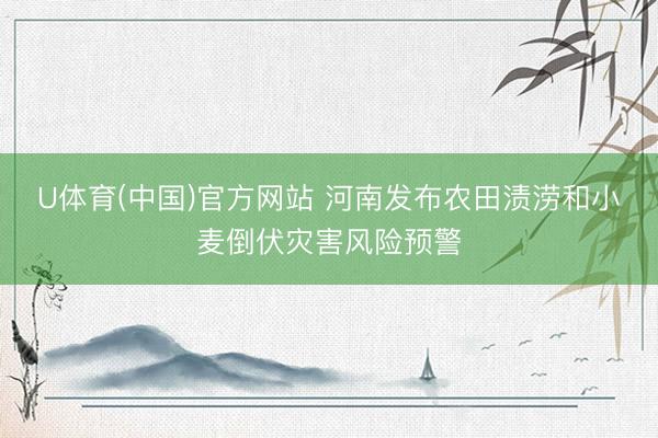 U体育(中国)官方网站 河南发布农田渍涝和小麦倒伏灾害风险预警