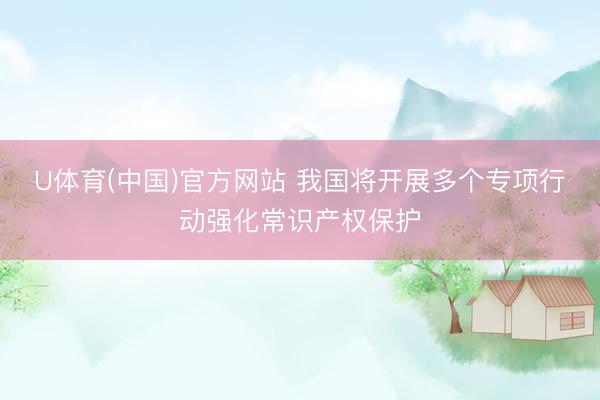 U体育(中国)官方网站 我国将开展多个专项行动强化常识产权保护