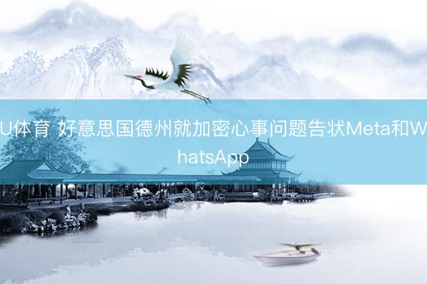 U体育 好意思国德州就加密心事问题告状Meta和WhatsApp