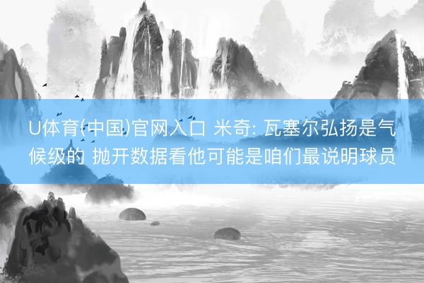 U体育(中国)官网入口 米奇: 瓦塞尔弘扬是气候级的 抛开数据看他可能是咱们最说明球员