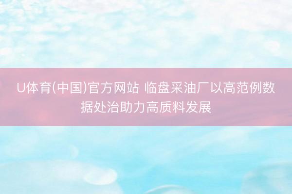 U体育(中国)官方网站 临盘采油厂以高范例数据处治助力高质料发展