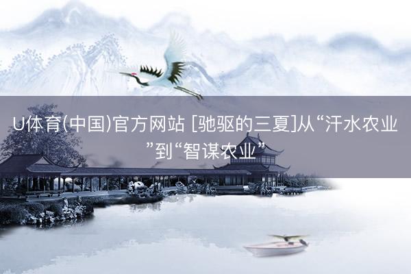 U体育(中国)官方网站 [驰驱的三夏]从“汗水农业”到“智谋农业”
