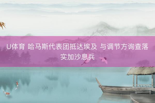 U体育 哈马斯代表团抵达埃及 与调节方询查落实加沙息兵
