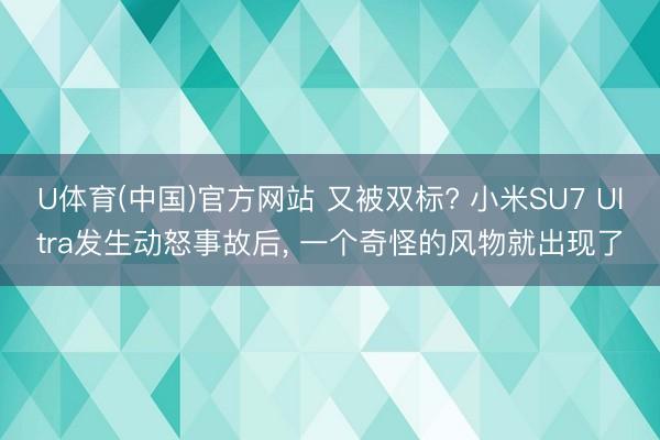U体育(中国)官方网站 又被双标? 小米SU7 Ultra发生动怒事故后， 一个奇怪的风物就出现了