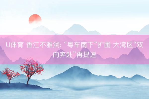 U体育 香江不雅澜: “粤车南下”扩围 大湾区“双向奔赴”再提速