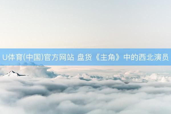 U体育(中国)官方网站 盘货《主角》中的西北演员