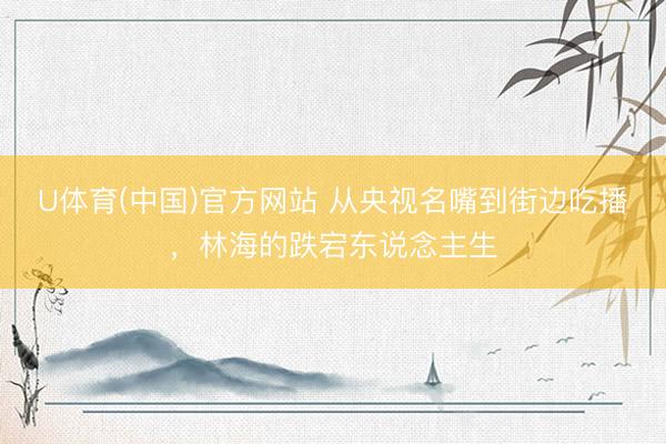 U体育(中国)官方网站 从央视名嘴到街边吃播，林海的跌宕东说念主生